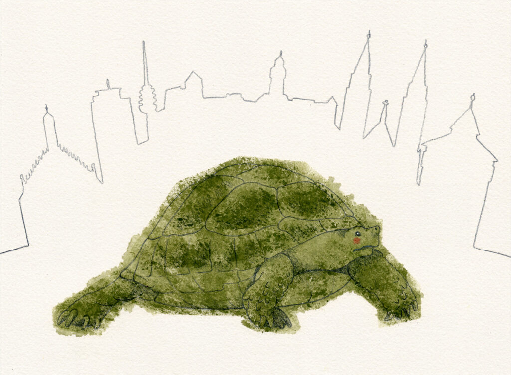 Zeichnung – Touring Tortoise