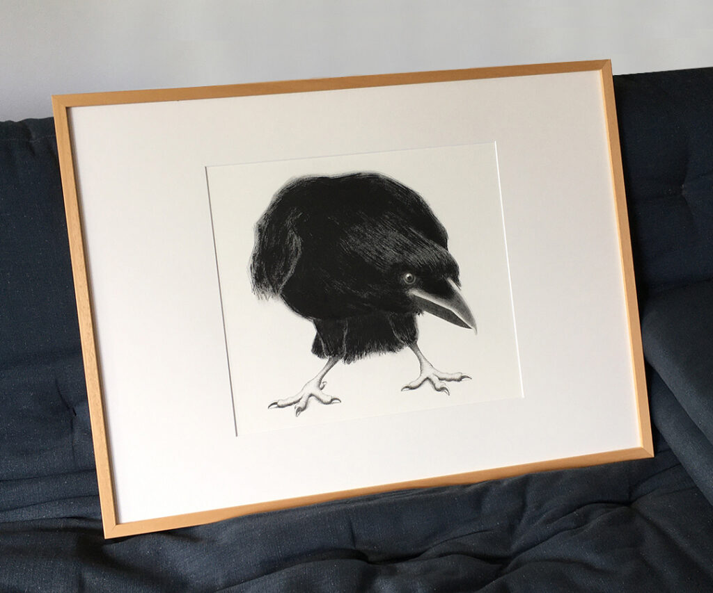 Zeichnung – "Corvus curiosus"
