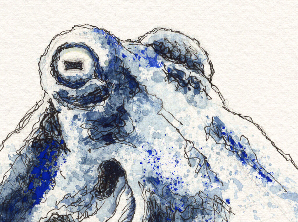 Zeichnung – "Aquatisch in Blau"