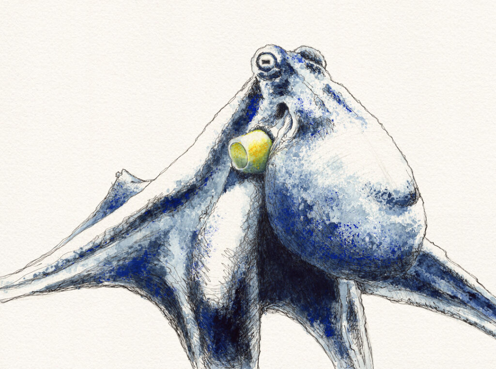 Zeichnung – "Aquatisch in Blau"
