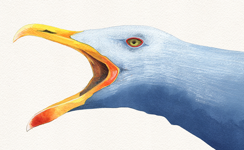Guache – "Silbermöwe in Blau"