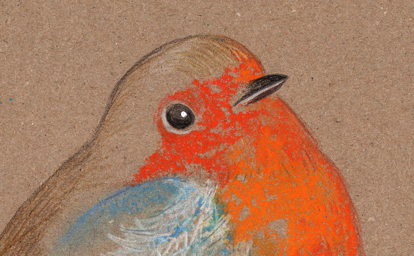 Zeichnung – Rotkehlchen